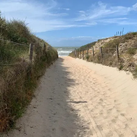 Duinendaele 232 Met Sauna Bij Plopsaland En Natuurreservaat Holiday home *