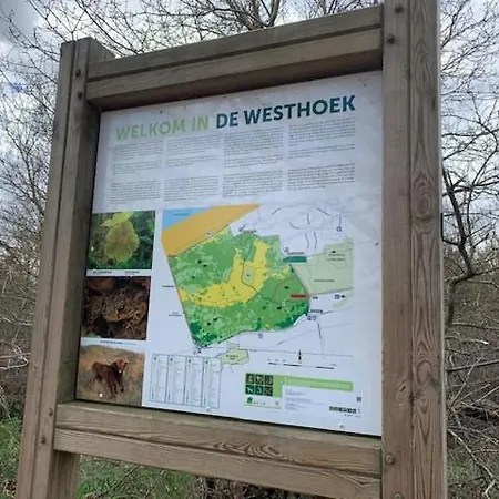 Duinendaele 232 Met Sauna Bij Plopsaland En Natuurreservaat