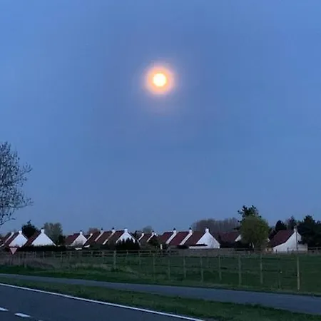 Σπίτι διακοπών Duinendaele 232 Met Sauna Bij Plopsaland En Natuurreservaat *