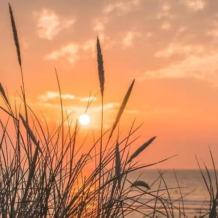 Duinendaele 232 Met Sauna Bij Plopsaland En Natuurreservaat * De Panne