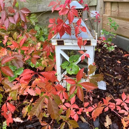 Σπίτι διακοπών Duinendaele 232 Met Sauna Bij Plopsaland En Natuurreservaat *