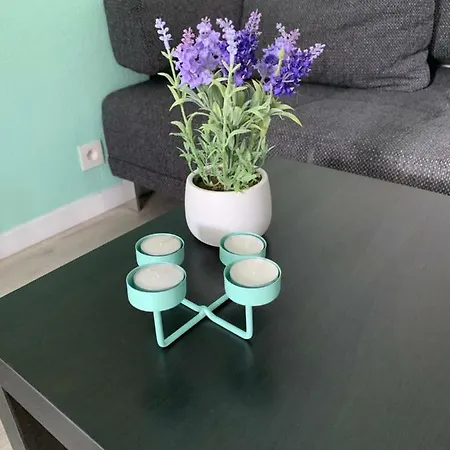 Duinendaele 232 Met Sauna Bij Plopsaland En Natuurreservaat De Panne