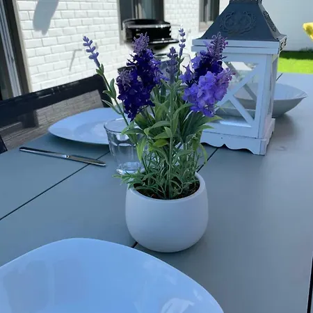 Holiday home Duinendaele 232 Met Sauna Bij Plopsaland En Natuurreservaat *